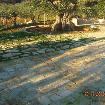Trullo Montetrecarlini Βίλα Αλμπερομπέλο Δωμάτιο φωτογραφία