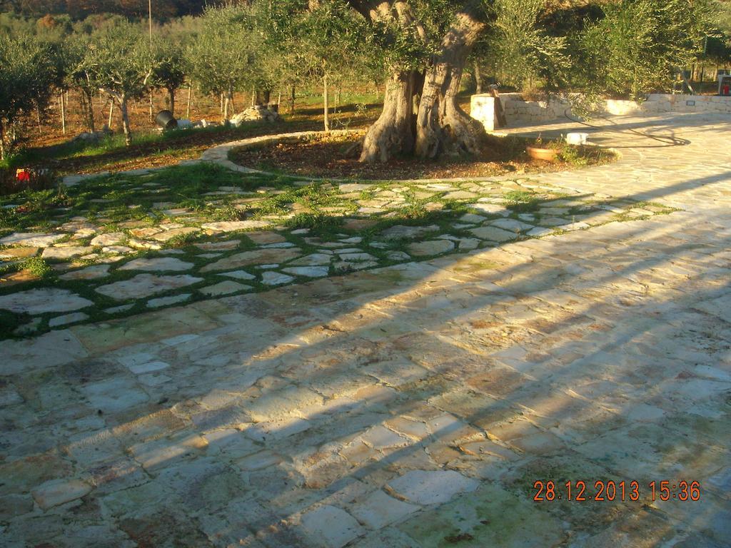 Trullo Montetrecarlini Βίλα Αλμπερομπέλο Δωμάτιο φωτογραφία