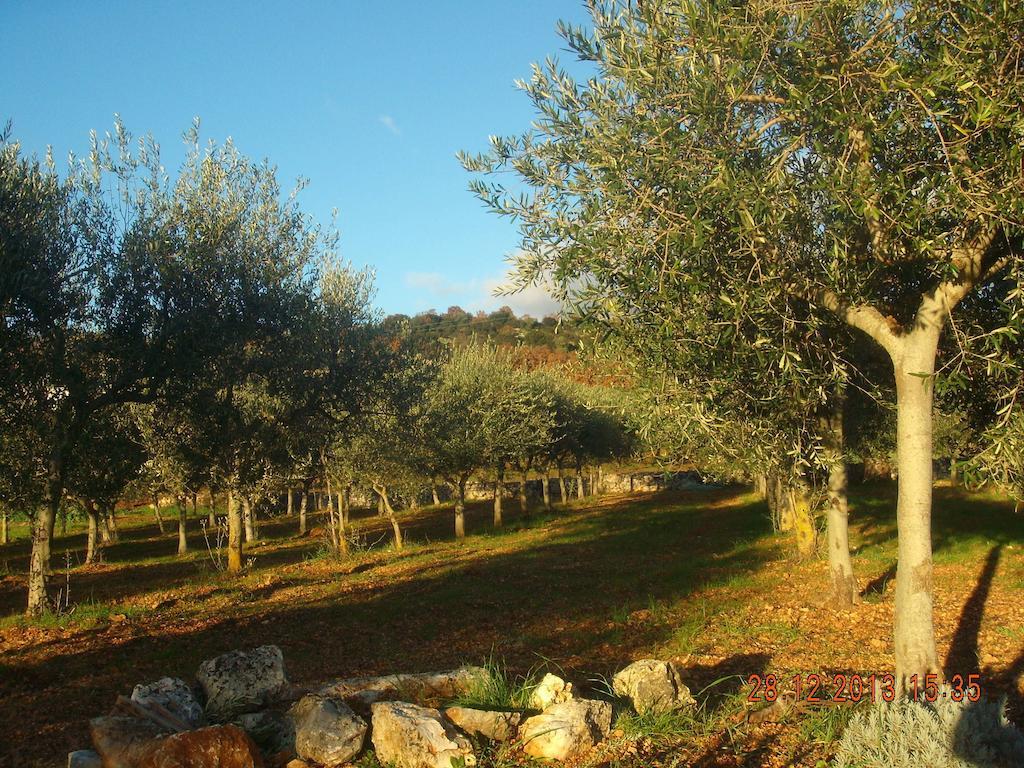 Trullo Montetrecarlini Βίλα Αλμπερομπέλο Δωμάτιο φωτογραφία